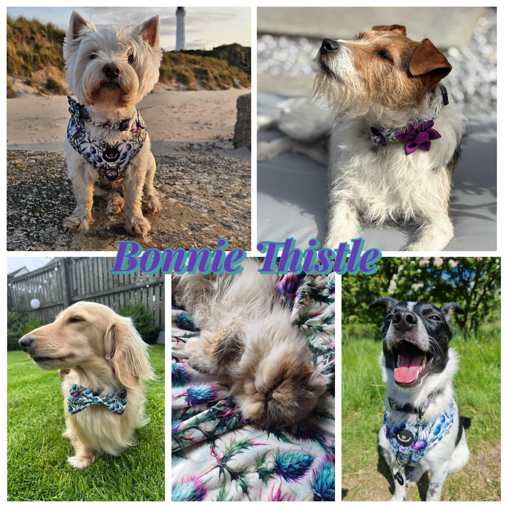 Bonnie Thistle velour and fleece pet blanket – view 10