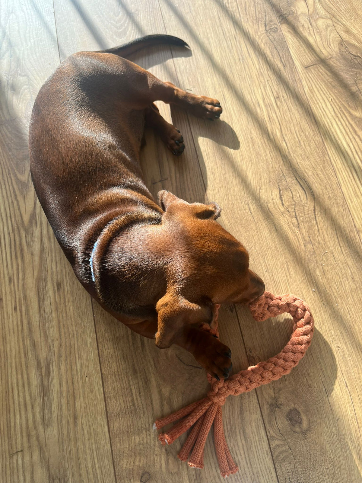 Recycled cotton rope heart dog toy – view 4