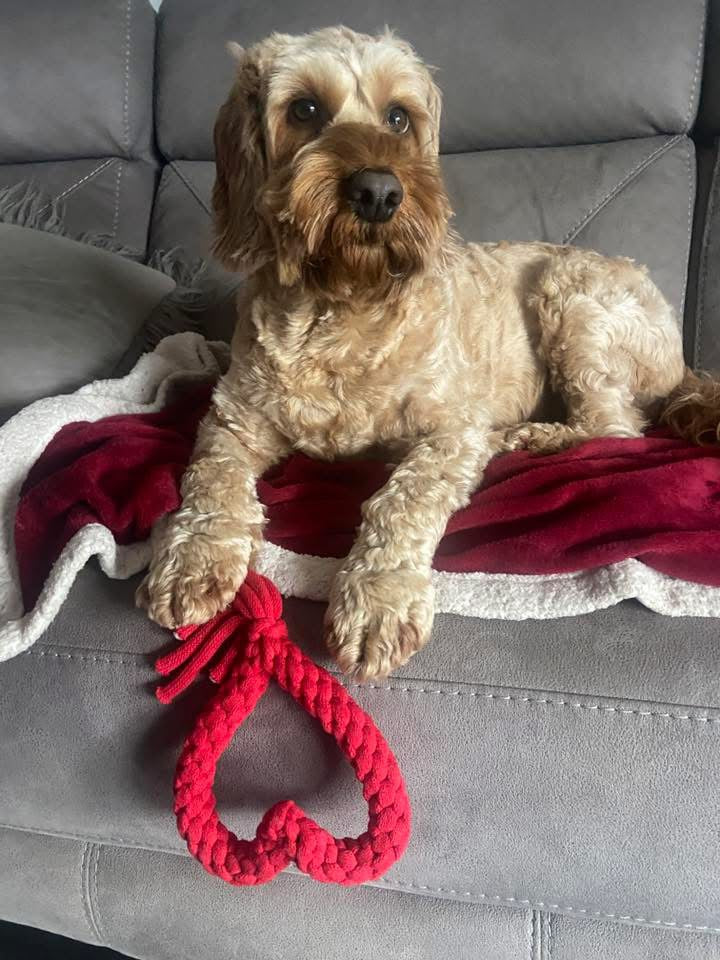 Recycled cotton rope heart dog toy – view 5