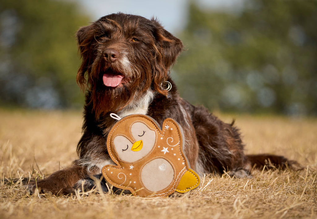 Poppy the Gingerbread Penguin tough Christmas dog toy – view 4
