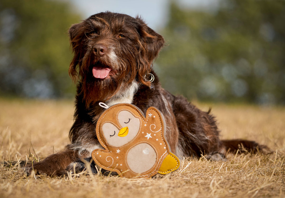Poppy the Gingerbread Penguin tough Christmas dog toy – view 4