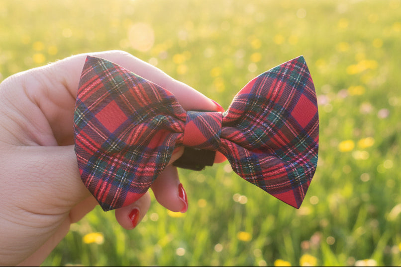 Royal Stewart red tartan dog collar bow