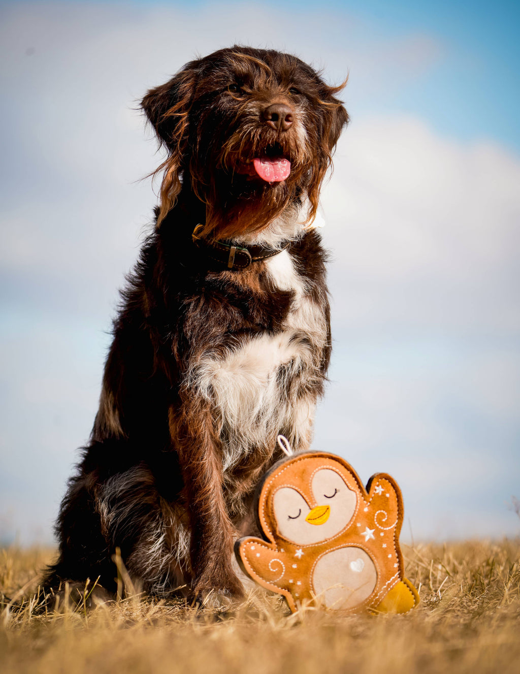 Poppy the Gingerbread Penguin tough Christmas dog toy – view 6