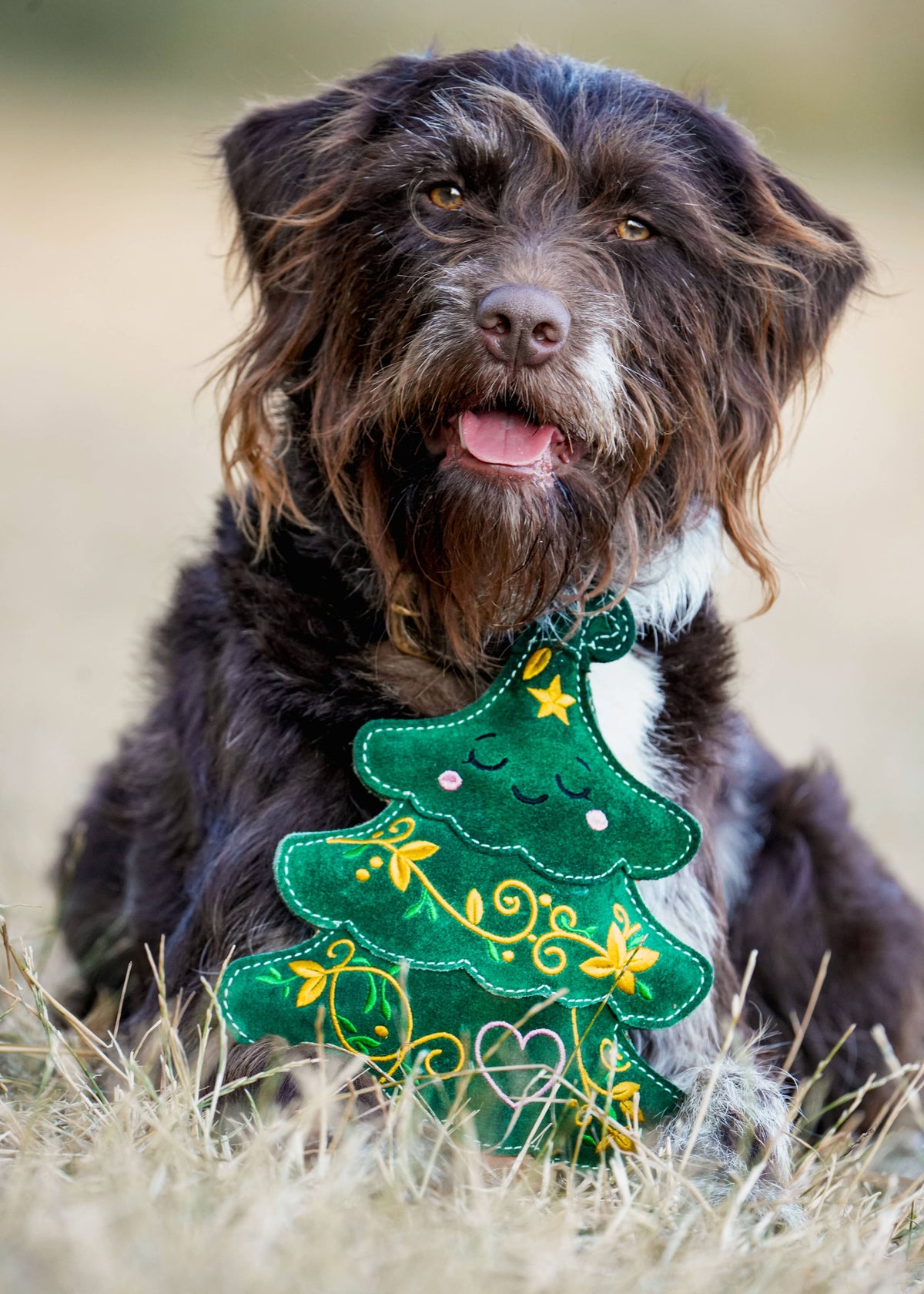 Evie the Christmas Tree jute dog toy – view 3