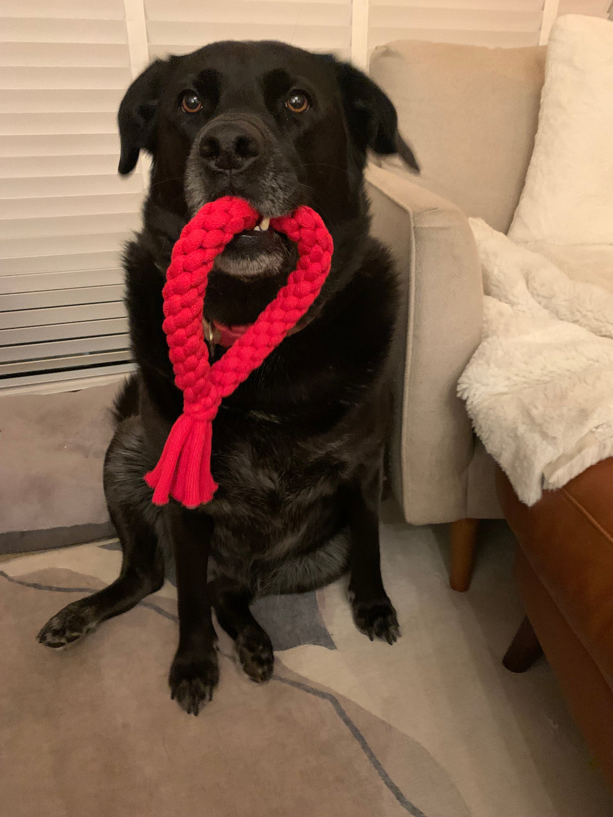 Recycled cotton rope heart dog toy – view 3