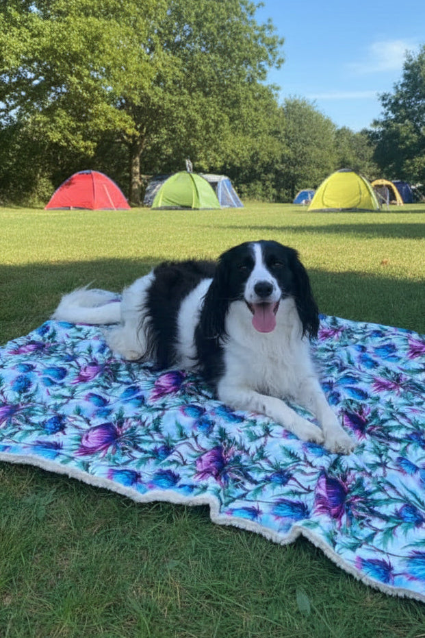 Bonnie Thistle velour and fleece pet blanket