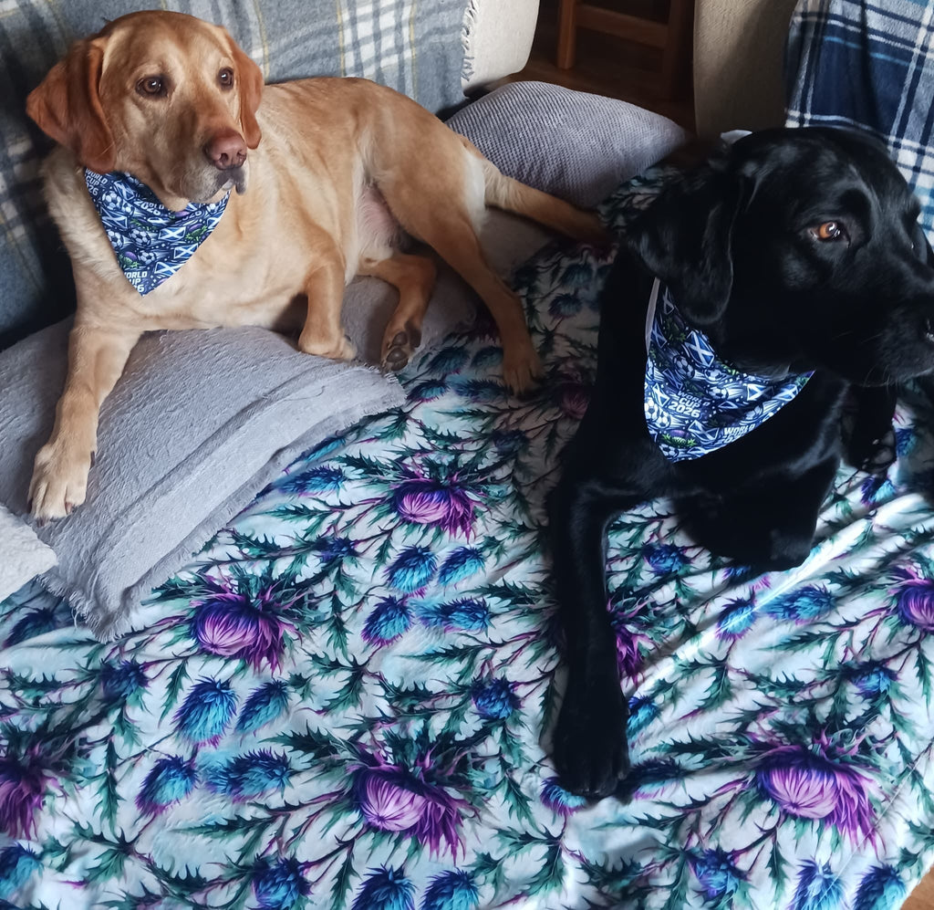 Bonnie Thistle velour and fleece pet blanket – view 7
