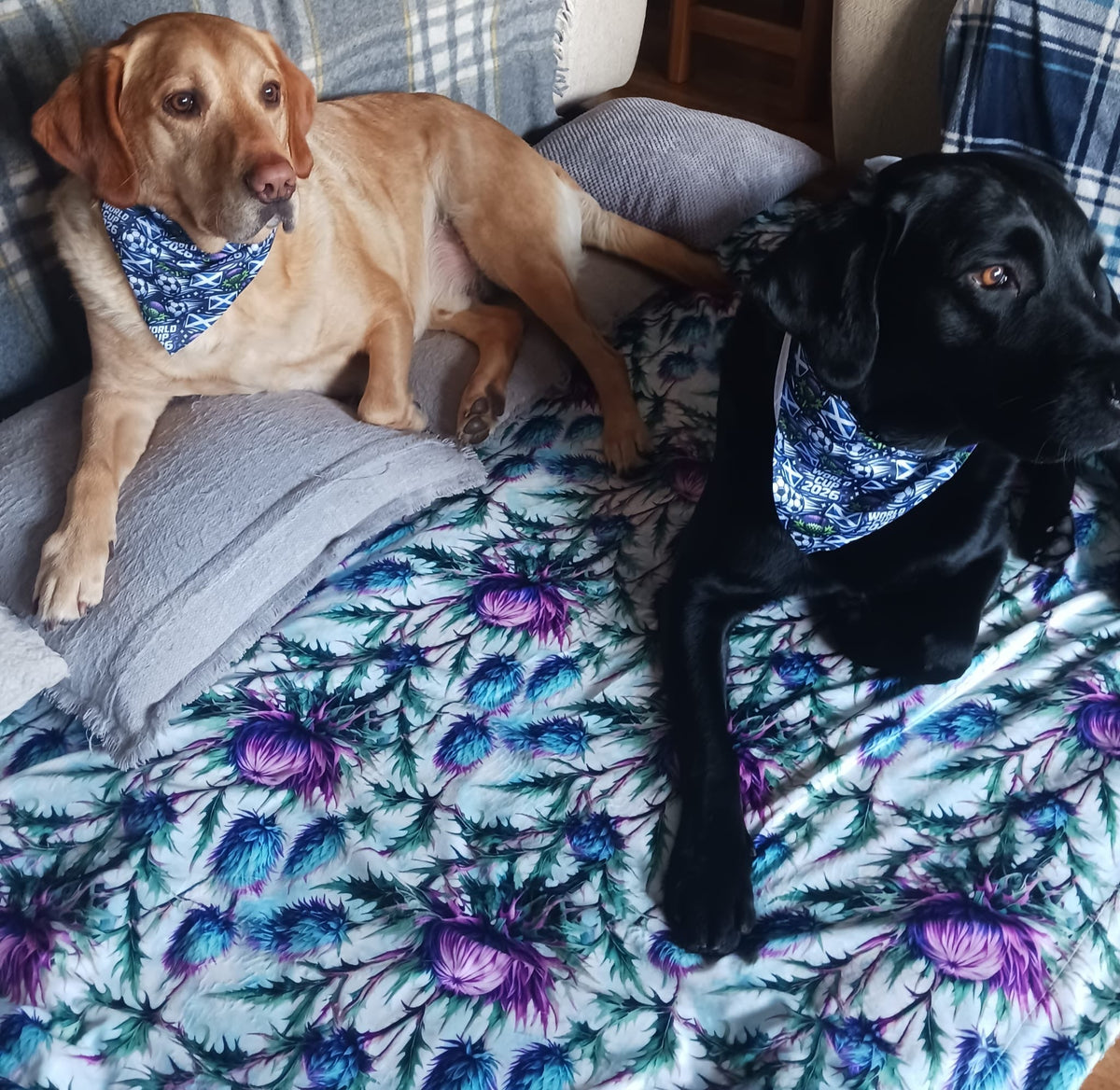 Bonnie Thistle velour and fleece pet blanket – view 7