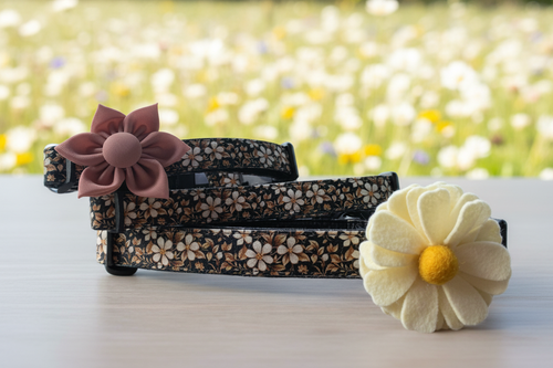 Black Isle Blossom black floral dog collar