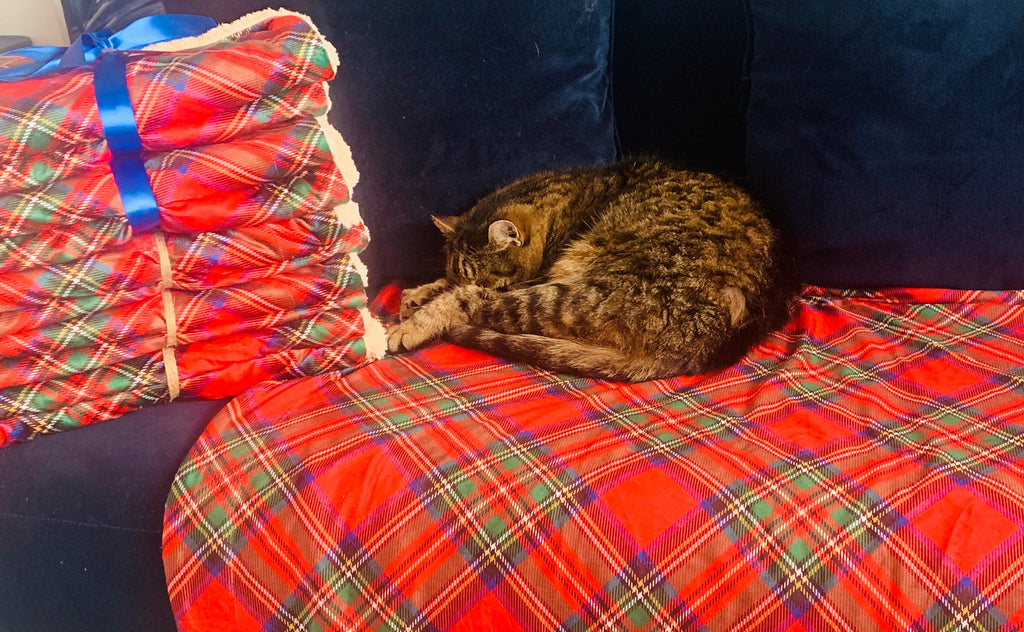 Royal Stewart red tartan pet snuggle blanket – view 4