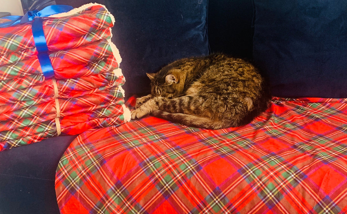 Royal Stewart red tartan pet snuggle blanket – view 4