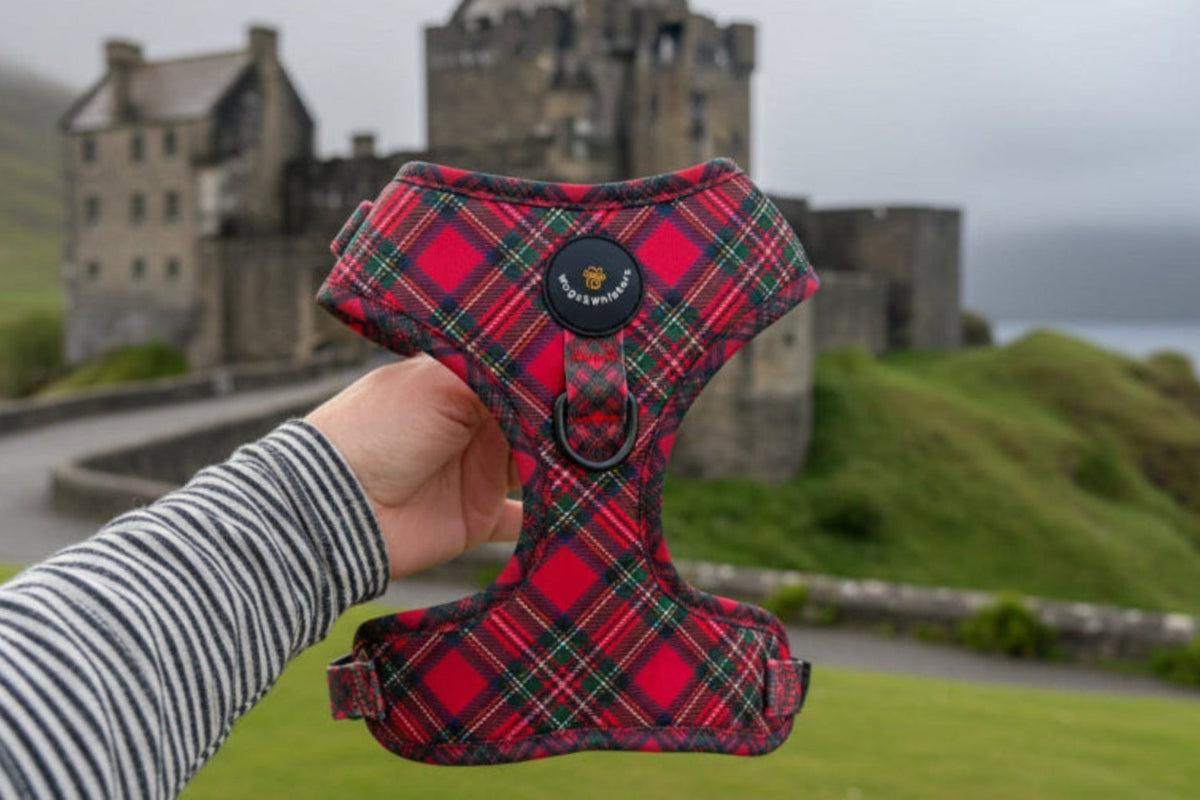 Royal Stewart red tartan mesh dog harness