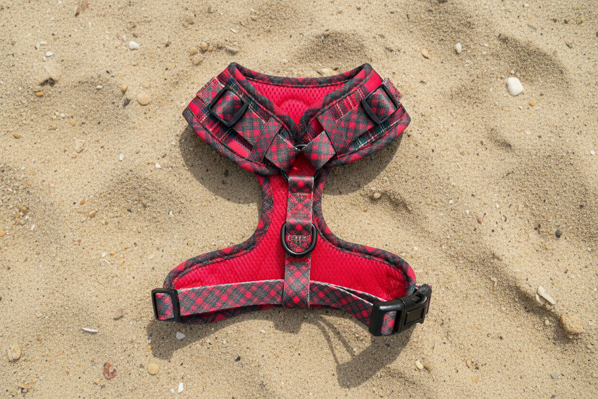 Royal Stewart red tartan mesh dog harness – view 2