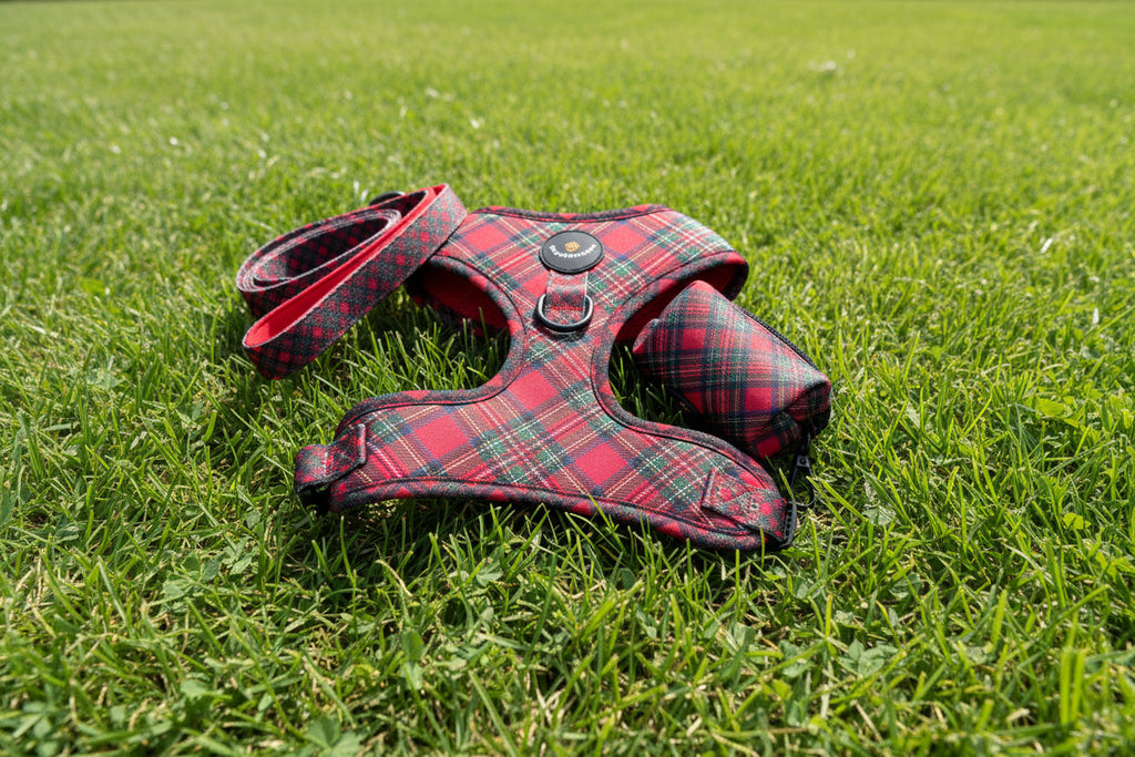 Royal Stewart red tartan poo bag and treat holder – view 5