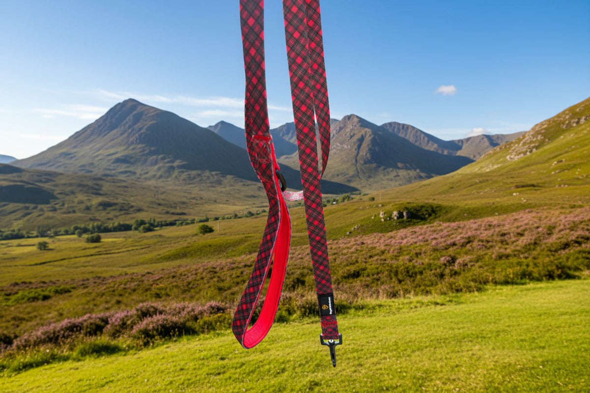 Royal Stewart red tartan 1.5m dog lead – view 2