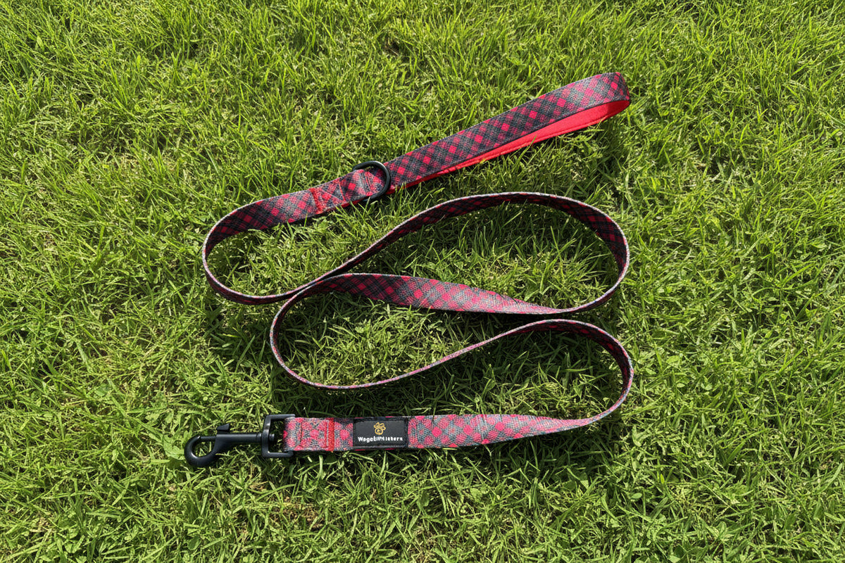 Royal Stewart red tartan 1.5m dog lead