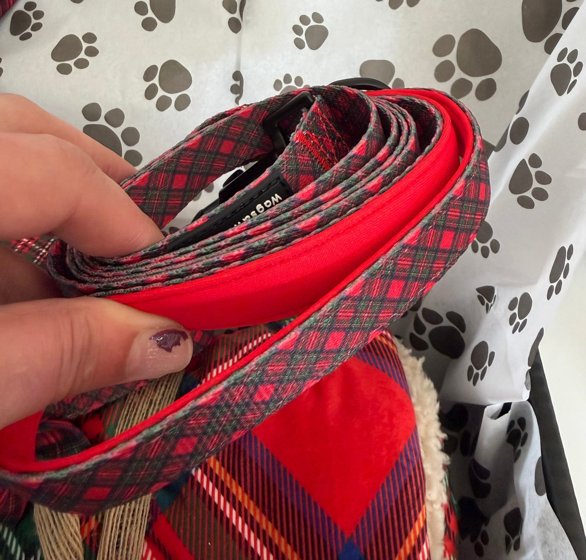 Royal Stewart red tartan 1.5m dog lead – view 4