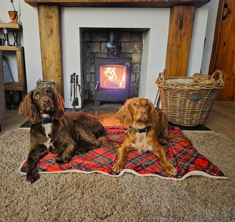 Royal Stewart red tartan pet snuggle blanket