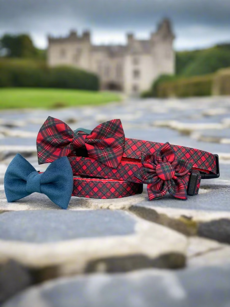 Royal Stewart red tartan dog collar bow – view 4