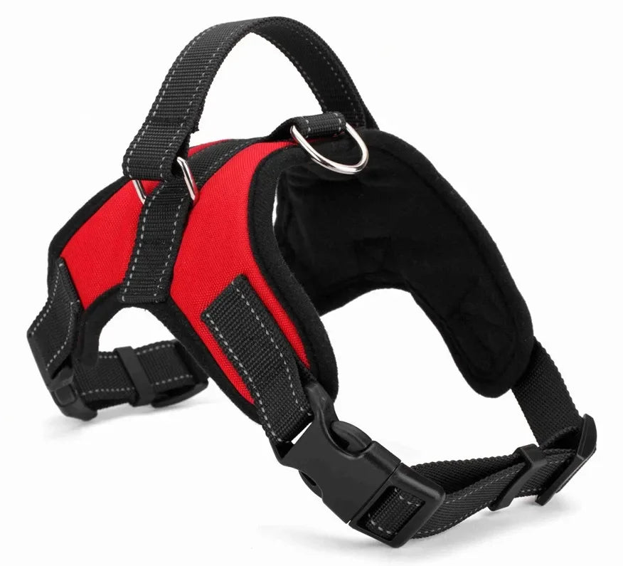 No-Pull Dog Harness — Padded Step-In Design with Reflective Stitching