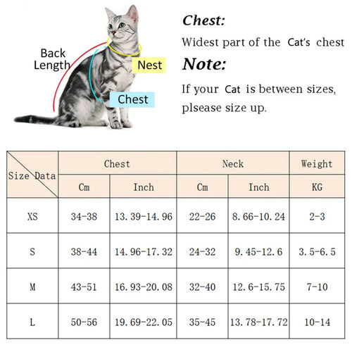 Cat walking harness and matching leash set – view 2