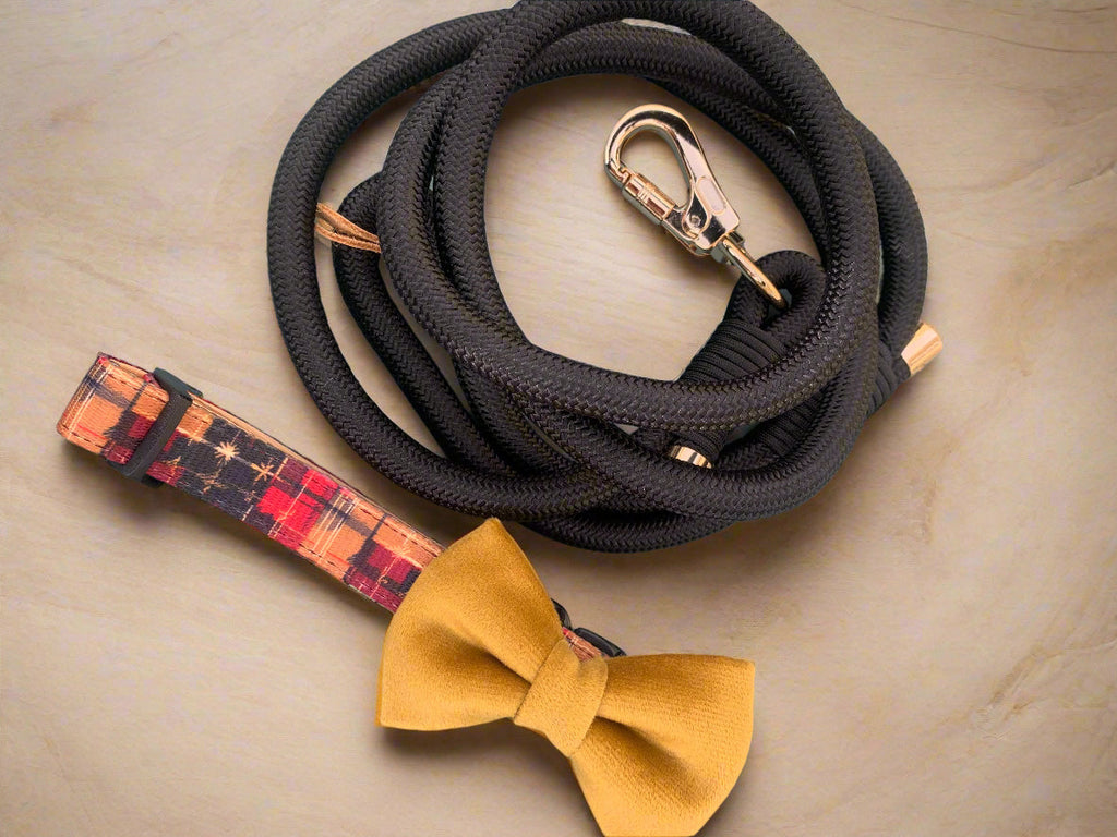 Highland Ember red black and gold dog collar – view 8