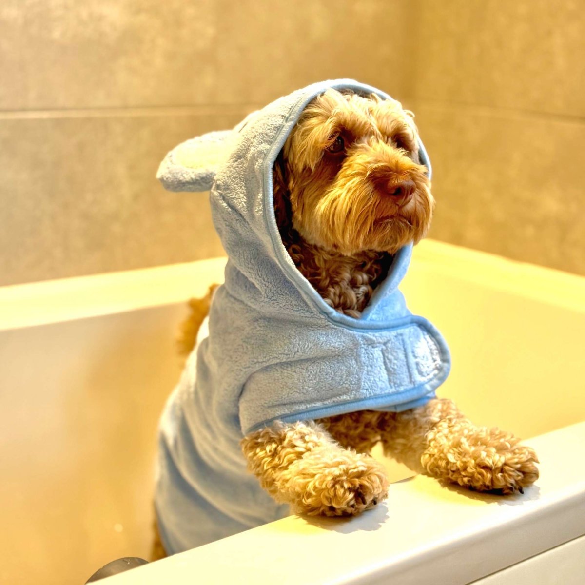 Blue microfibre dog drying robe – view 5