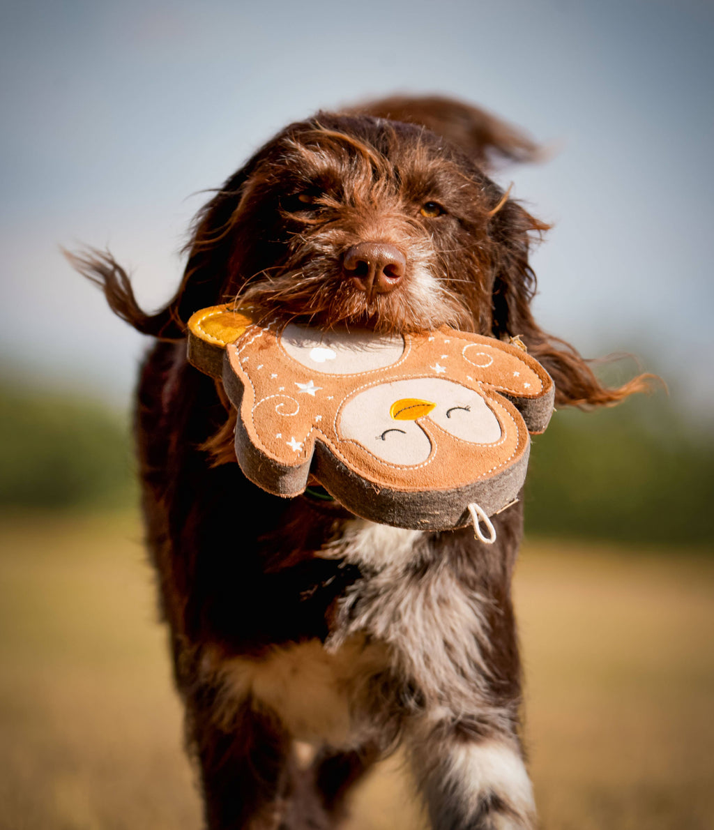 Poppy the Gingerbread Penguin tough Christmas dog toy – view 5