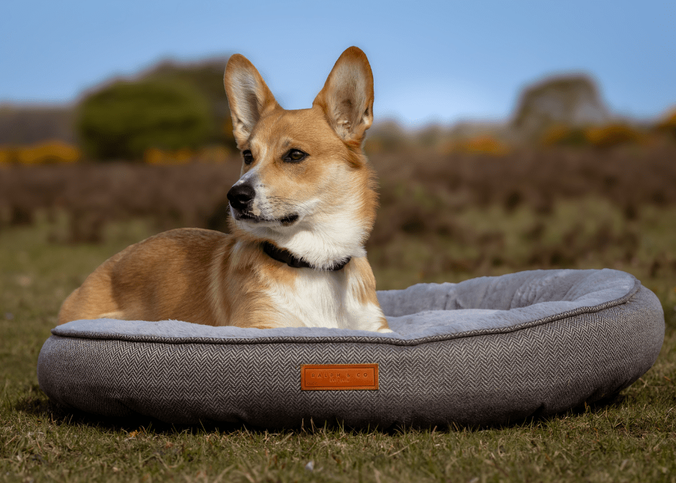 Ralph & Co Balmoral grey herringbone donut dog bed – view 2