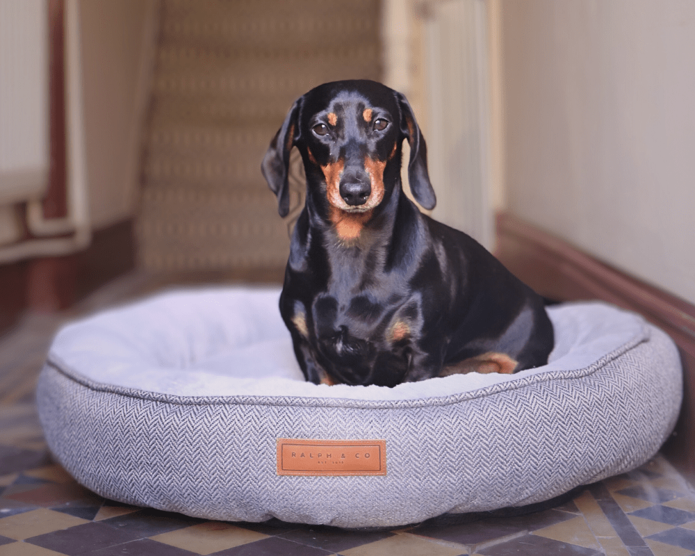 Ralph & Co Balmoral grey herringbone donut dog bed – view 4