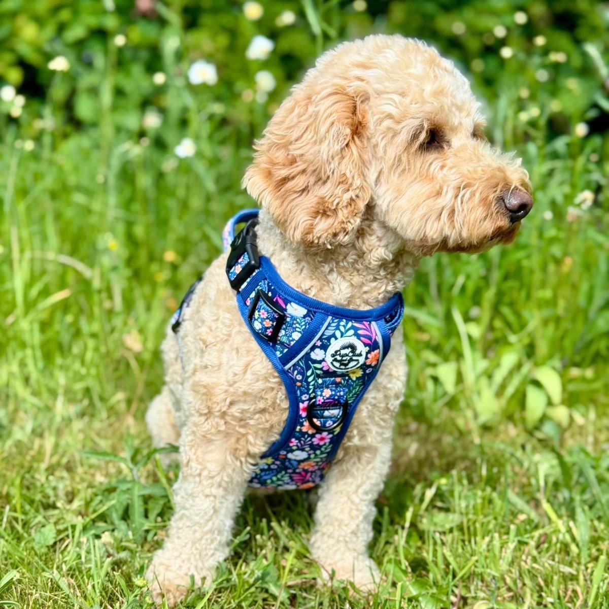 Rugged Rover no-pull dog harness in Summer Meadow floral print – view 3