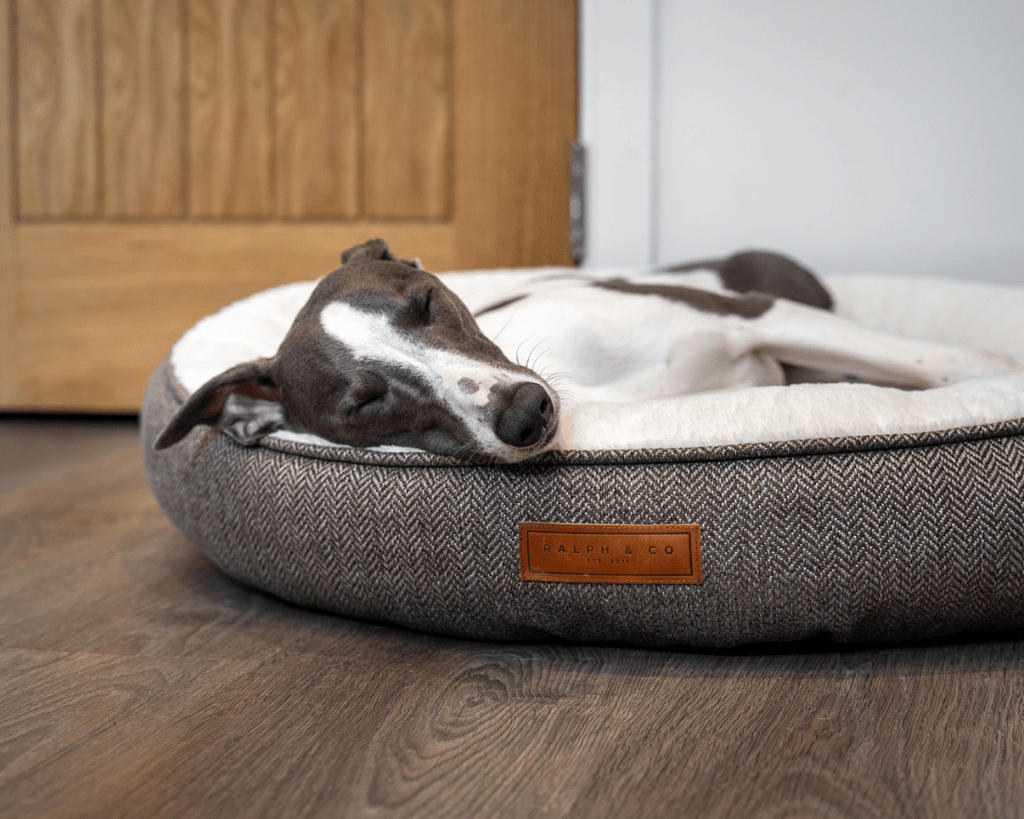 Ralph & Co Lincoln tweed donut dog bed – view 13