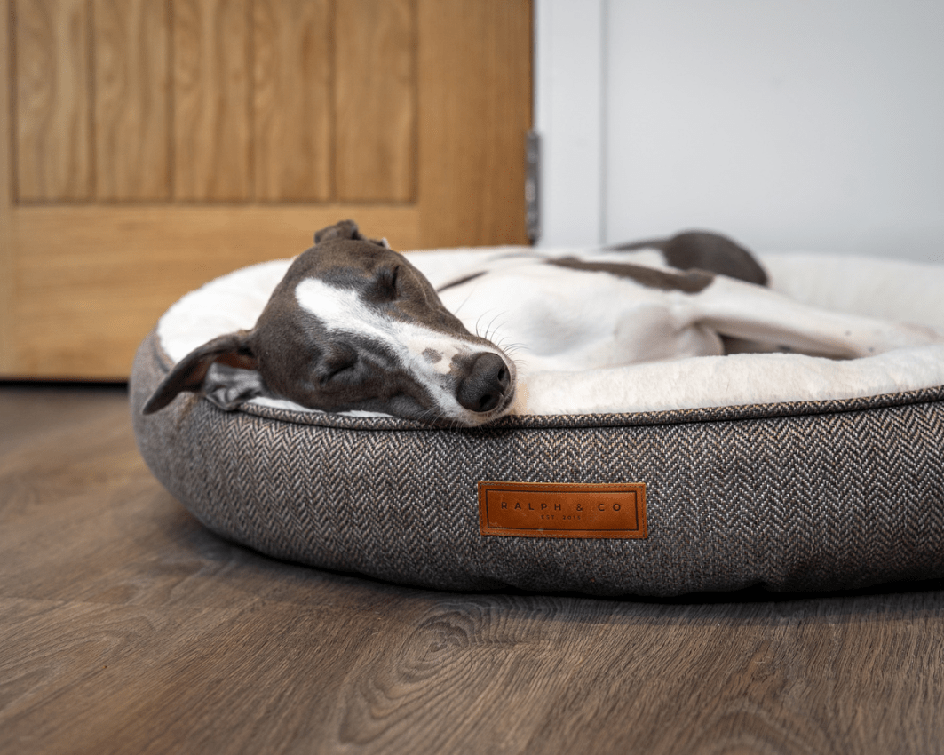 Ralph & Co Lincoln tweed donut dog bed – view 13