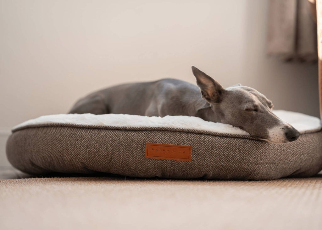 Ralph & Co Lincoln tweed donut dog bed – view 2