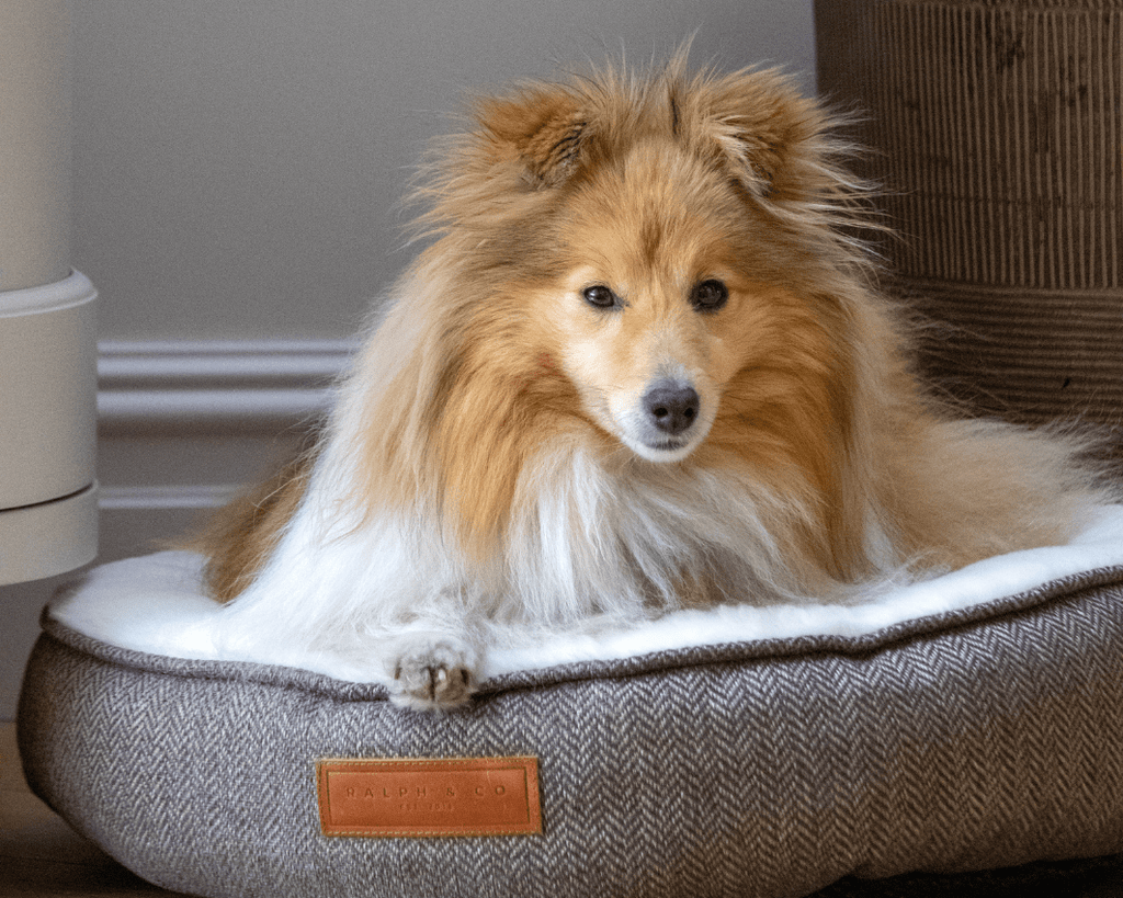 Ralph & Co Lincoln tweed donut dog bed – view 7