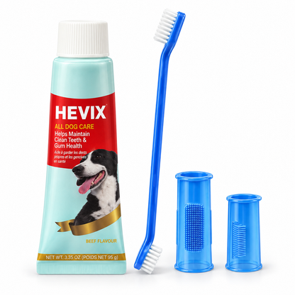 Four-piece dog dental care kit with toothpaste, double-ended toothbrush and finger brushes